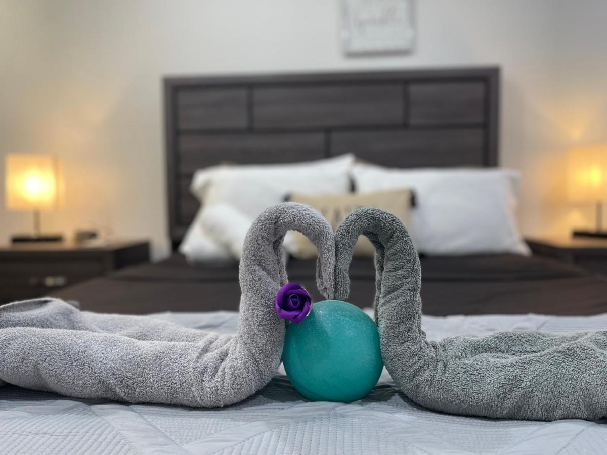 Modern Santorini Suite Houston Nrg Tmc Luxurious Walkable エクステリア 写真